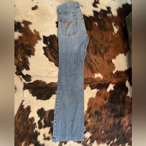 7 for all mankind Dojo Jean